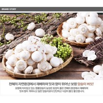 보령머쉬팜 (양송이파지 포타벨라파지 꼬다마) 2kg, 양송이파지2kg, 1개