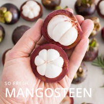 항공 직송 태국 망고스틴 생과 500g 1kg 2kg 5kg, 1kg(10~14알)