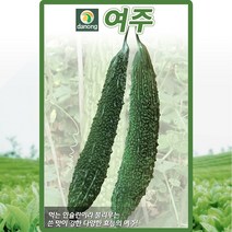 여주 씨앗 여주 씨 종자 10립, 단품