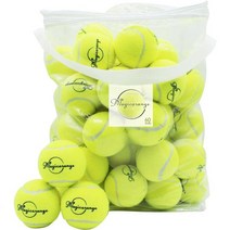 매직오렌지 테니스공 60팩 고급트레이닝 연습볼 애완견 플레잉볼 운반이 용이한 메쉬백을 준비하여 초보트레이닝볼에 적합, Green