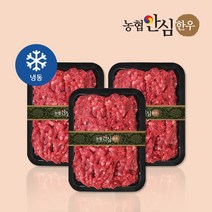 [농협안심한우] 1+등급 한우 다짐육 300g / 600g / 900g, 900g (300gX3팩)