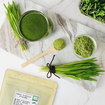 심은숙의 유기농 밀싹분말80gX2팩