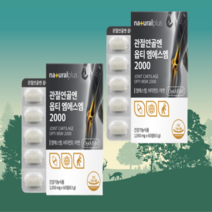 관절연골엔 옵티엠에스엠 2000 60정 2개월분 63g, 2개