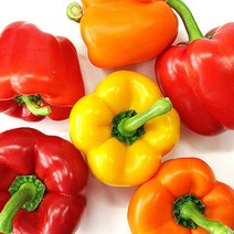 [이베따] 국내산 파프리카 1.5kg, 1개