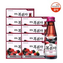 광동 복분자 100ml 10입 X 9박스 (90병), 단품