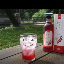 웰빙 오미자청 문경오미자차 오미자즙 오미자주 500ml x 2, [SB SHOP] 1, [SB SHOP] 500ml x 2병 (선물용), [SB SHOP] 본상품선택