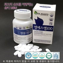 opti 엠에스엠 100 (120정x2통) MSM, 120정, 2개