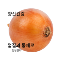 (홍열팜) 당뇨 고지혈증영양제 양파즙 30포, 500포