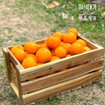 당일수확 제주 카라향 3kg 5kg 10kg 고당도 제철과일 귤 감귤, 혼합과_상품 5kg, 1개