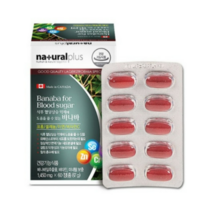 내추럴플러스 혈당엔바나바 바나바잎 추출물 크로솔산 아연 셀렌 크롬 식후혈당상승억제도움, 87g, 2개
