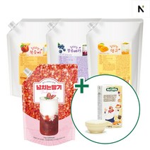 네이쳐티 넘치는 망고 딸기 복숭아 블루베리 베이스 + 누티연유 380g 증정, 망고 1kg+연유 380g