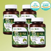 내츄럴라이즈 내츄럴가이아 트리플 징코 플러스 8개월분, 상세 설명 참조, 단일옵션