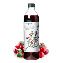 [핀란디아] 핀란드 카스케인 크랜베리 원액 주스 500ml 1병, 크랜베리주스1병
