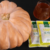 착한톡톡 늙은 호박즙 100ml 30포, 30개