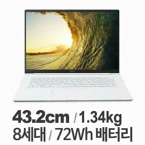 LG 그램 17Z990 VA50K i5 17인치 중고 노트북, WIN11 Home, 8GB, 256GB, 코어i5, 화이트