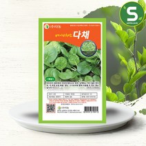 솔림텃밭몰 베이비다채씨앗 10g 베이비채소 다채씨앗 베이비다채, 단품
