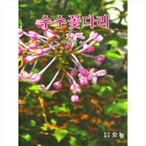 오늘 수수꽃다리, 이재신