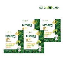 포스파티딜세린 300mg 은행잎추출물 기억력 혈액순환 도움 징코 더브레인골드 4갑