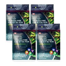 내츄럴플러스 바나바 60정 4박스 (8개월분) 식후 혈당 상승 억제, 상세페이지 참조, 상세페이지 참조