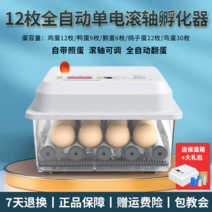 병아리 자동 부화통 달걀 계란 미니 인큐베이터 교육용, 11.12개 완전 자동