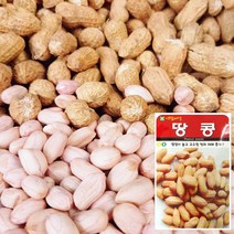 브랜드없음 땅콩 씨앗 (20g) 채소씨앗 야채씨앗 완두콩씨앗, 단품없음