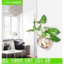 벽걸이 화분 가드닝 용품 가정용 걸이형 빈티지 투명, S 15CM 투명