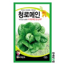 청로메인 2000립 / 상추씨앗 쌈채소씨앗 텃밭씨앗 로메인씨앗 로메인씨, 1개