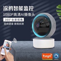 360도 CCTV 와이파이 카메라 스마트 감시 휴대폰 연동, 64GB, 3MP, 블랙홀 카메라