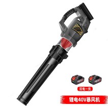 헤어 드라이어 휴대용 고전력 리튬 배터리 40V 전기 잎 강풍 충전 먼지 제거 도로 송풍기, 단일사이즈, 40V 배터리 2개 +충전기