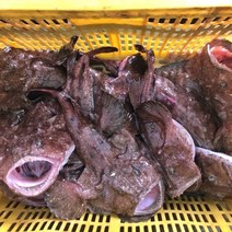 산지직송 급랭 아귀 1kg 손질아구 순살아귀 간 위, 순살아귀-1kg, 1개