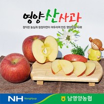 경북 영양농협 사과 꿀부사 5kg 12-14과 미세기스, 단품