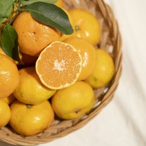 지장샘농장 제주 극조생감귤 2.5kg 4.5kg, 극조생감귤 로얄과(S~M) 2.5kg