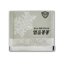 아이스팩 보냉제 얼음꽁꽁 은나노 항균팩 (소)20개, 20개, 1개