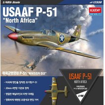브랜드없음 전투기 P51 프라모델 비행기 항공기 모형 조립 장난감, 선택완료