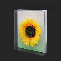 아크릴액자(약34x23x5cm/공간높이 약3.7cm) 박스액자 / 관액자 / 입체 공간 액자 / 프리져브드 액자