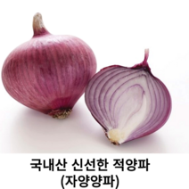 국내산 최상급 적양파 1kg 2kg 4kg 8kg 가정용 업소용햇 자색양파 신선한 빨간양파 샐러드 카레 볶음 매콤달콤 적양파 제철채소 야채, 1개