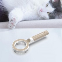 안전한이중빗살 물세척가능 강아지빗 개브러쉬 국비지원애견미용 펫빗 반려견