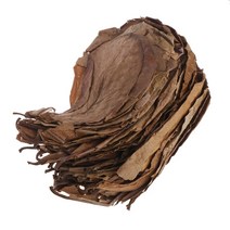 물고기 베타 거북이 자반 알비노 구피 어항 천연 잎 아몬드 잎 물고기 청소 치료 수족관 탱크
