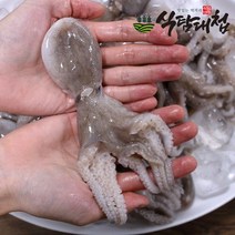 대한민국전통시장 싱싱한 서해 주꾸미 1kg 5-15미, 없음