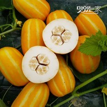 맛있는 꿀맛남 성주참외 2kg/3kg/5kg, 04.성주 참외 3kg (로얄과,11-16과), 상세설명 참조