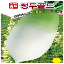 (무씨앗종자) 청두골드무(2000립) 1봉, 1개
