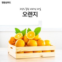 명광성푸드 고당도 비타민종합 오렌지, 3kg_아이스팩+아이스박스