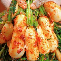 국산재료로 맛을 듬뿍 아삭한 전라도 총각김치, 총각김치 1kg