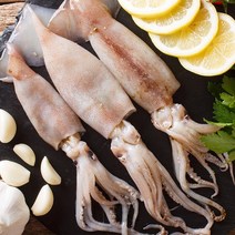 자연애 원양산 냉동 손질오징어 220g 4팩 (총8미)