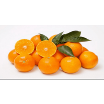 [10월 4일 예약 발송] 노지 감귤 중대과 제주 산지직송 10kg