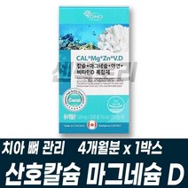 대용량 산호칼슘 산화마그네슘 아연 비타민D 복합체 복합기능성 치아 뼈 관리 영양보충 공급