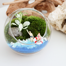 [테르테라] 여름방학 해변 테라리움 DIY 키트, 사선형+3종세트