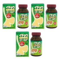 이토 징코 은행잎 추출물 은행 DX 골드 250mg x 240정 3개