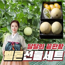 [ 애나팩토리 ] 멜론 선물세트 추석 선물세트 고당도 멜론 당일배송, 02 허니듀 친구 세트