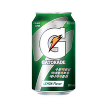 롯데 게토레이 340mlx24캔, 340ml, 24개